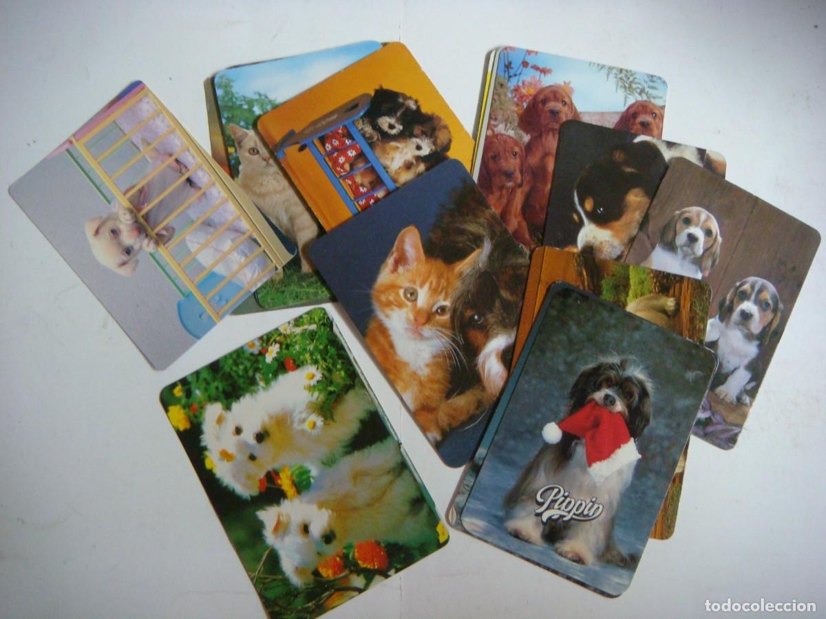 Coleccionismo calendarios: CALENDARIOS DE BOLSILLO LOTE DE 17 CALENDARIOS DE PERROS-N&ordm;-66