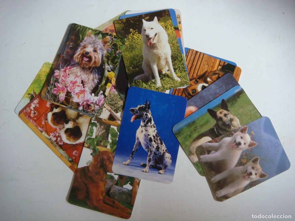 Coleccionismo calendarios: CALENDARIOS DE BOLSILLO LOTE DE 19 CALENDARIOS DE PERROS-N&ordm;-67