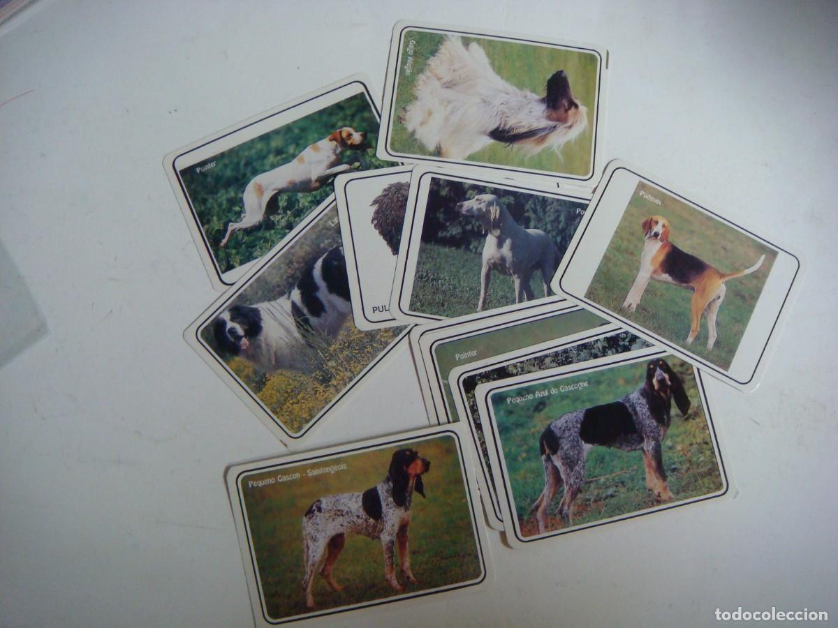 Coleccionismo calendarios: CALENDARIOS DE BOLSILLO LOTE DE 12 CALENDARIOS DE PERROS-N&ordm;-68