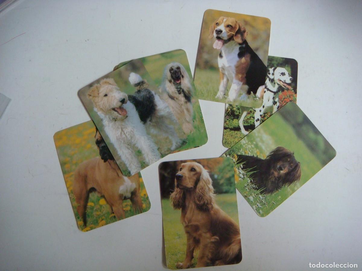 Coleccionismo calendarios: CALENDARIOS DE BOLSILLO LOTE DE 8 CALENDARIOS DE PERROS-N&ordm;-69