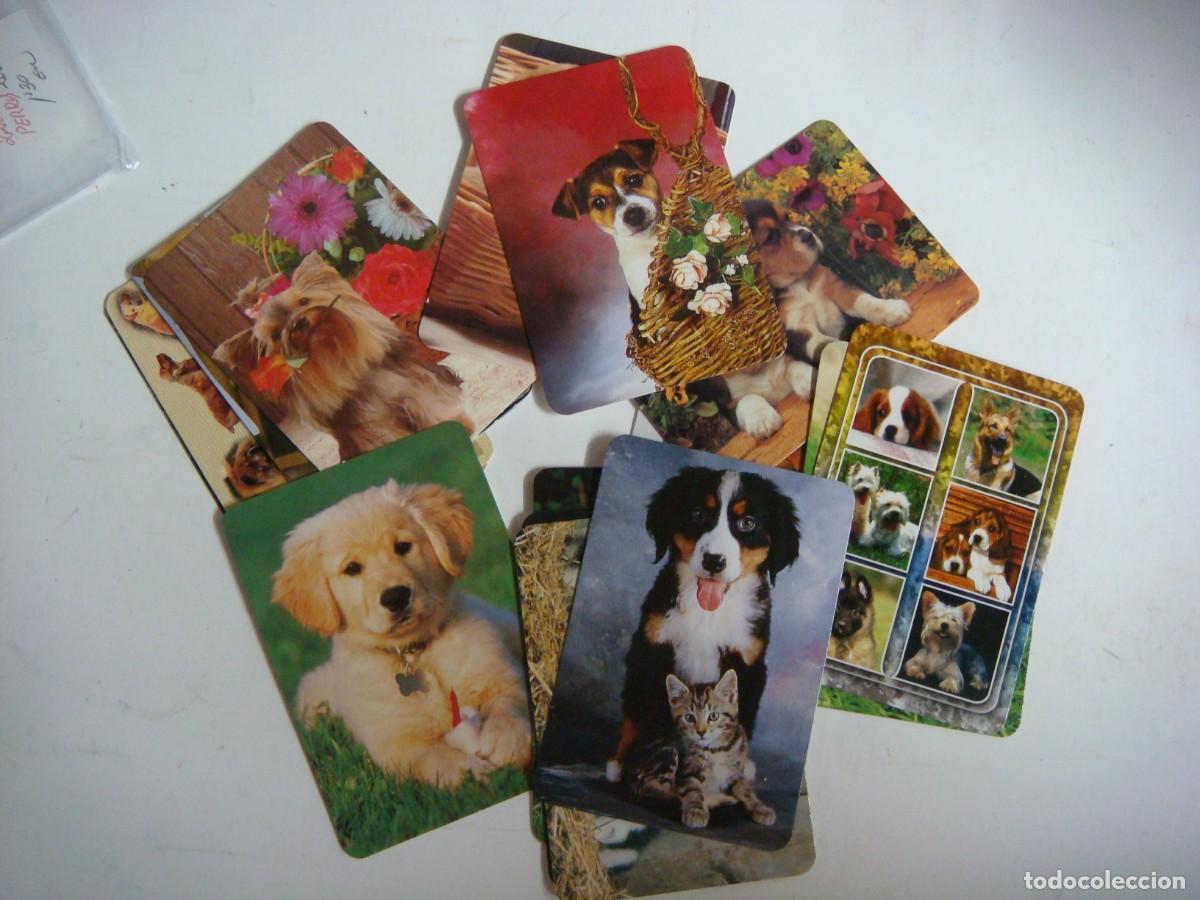 Coleccionismo calendarios: CALENDARIOS DE BOLSILLO LOTE DE 22 CALENDARIOS DE PERROS-N&ordm;-71
