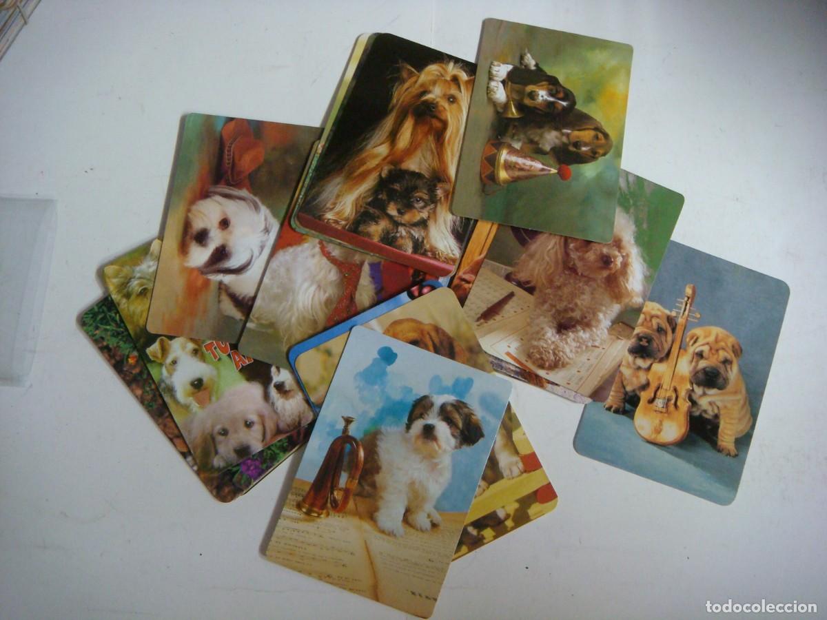 Coleccionismo calendarios: CALENDARIOS DE BOLSILLO LOTE DE 22 CALENDARIOS DE PERROS-N&ordm;-74