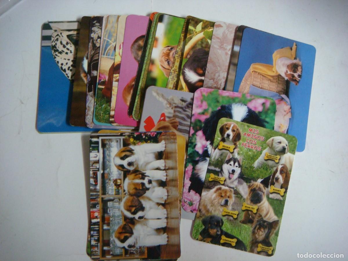 Coleccionismo calendarios: CALENDARIO DE BOLSILLO LOTE DE 35 CALENDARIOS TEMA PERROS -N&ordm;-99