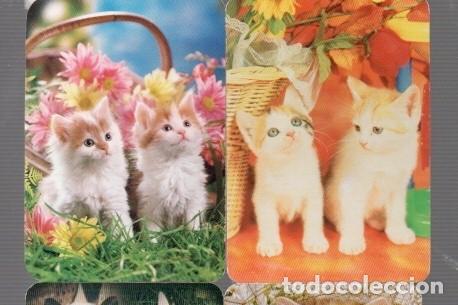 Coleccionismo calendarios: OCHO CALENDARIO DE GATOS DE LOS A&Ntilde;OS 2004 -06 . 07 -08 , CON PUBLICIDAD
