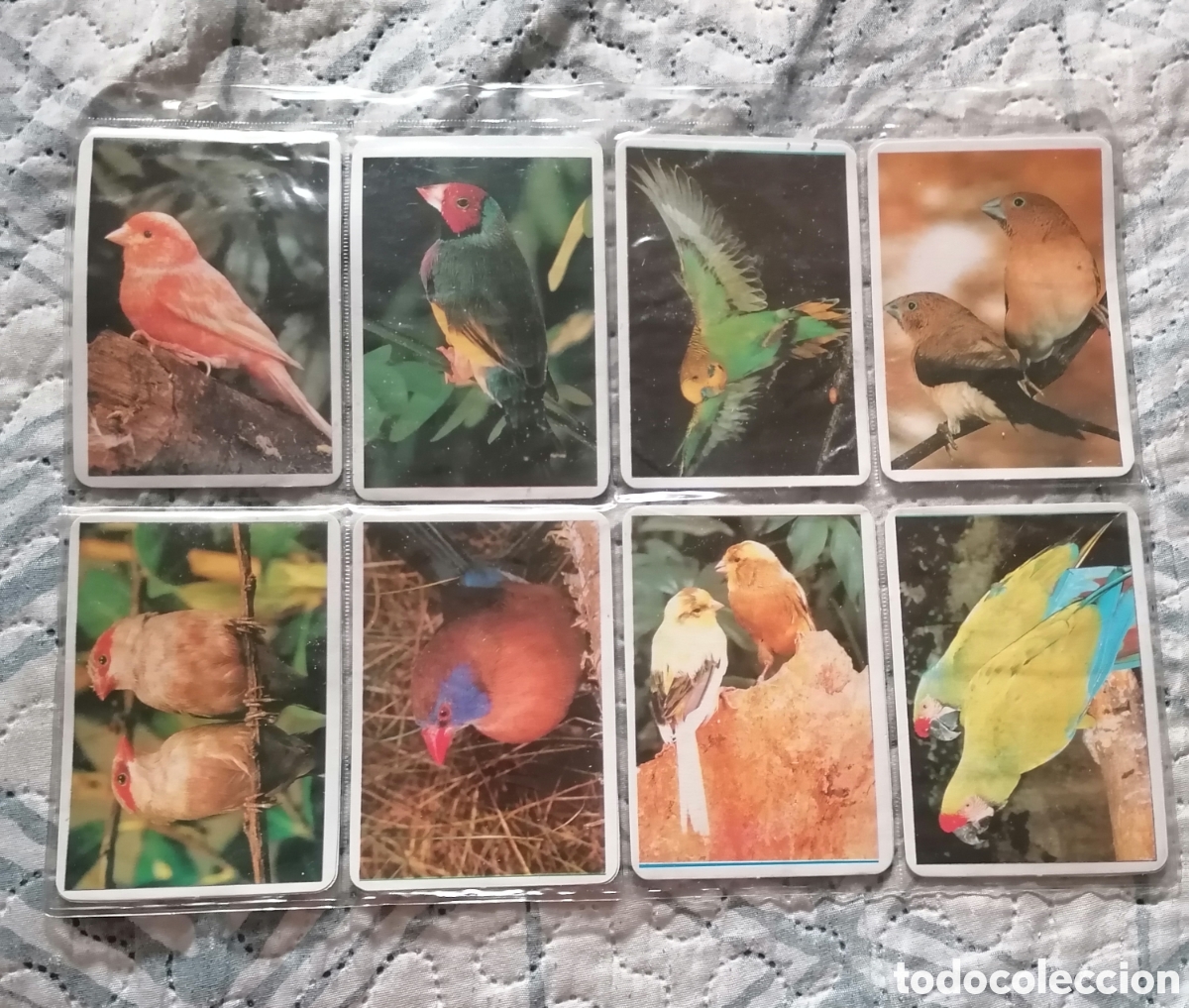 Coleccionismo calendarios: 16 Calendarios de bolsillo 1998 de p&aacute;jaros - Foto 2