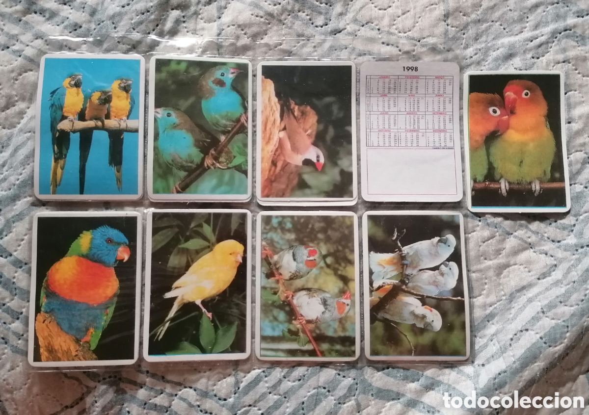 Coleccionismo calendarios: 16 Calendarios de bolsillo 1998 de p&aacute;jaros