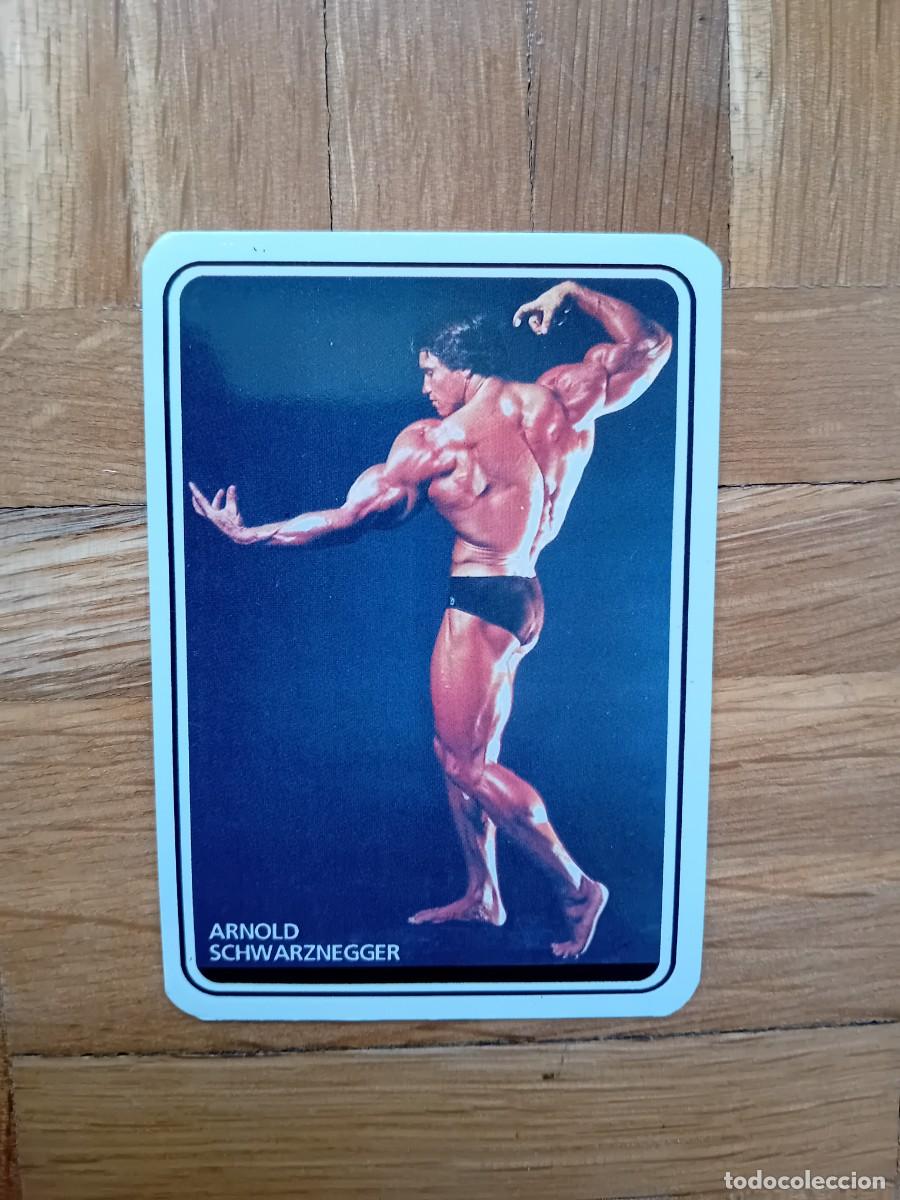 Coleccionismo calendarios: CALENDARIO PUBLICITARIO CINE ARNOLD SCHWARZENEGGER A&Ntilde;O 1993 VER FOTOS