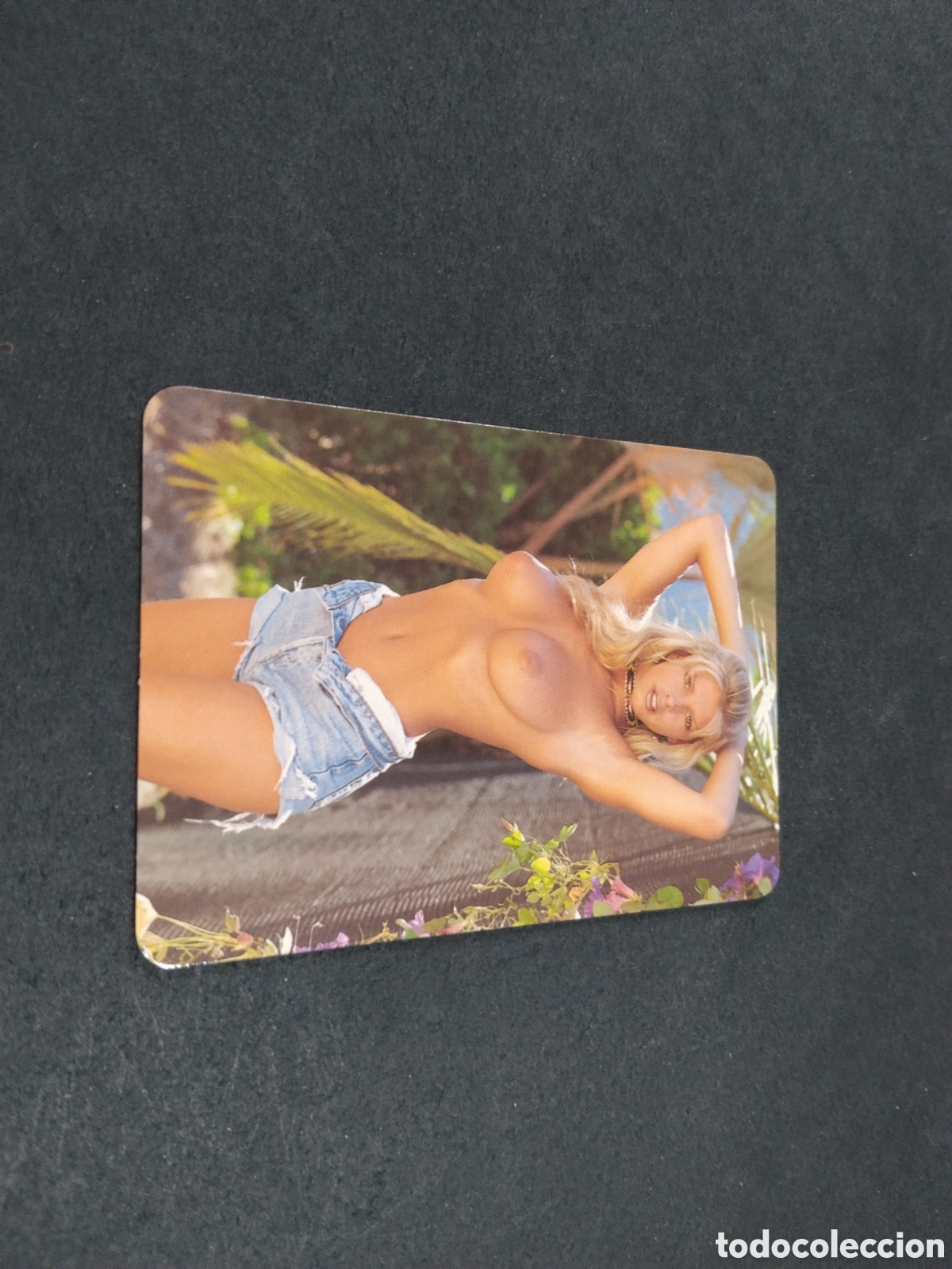 Coleccionismo calendarios: Calendario chicas 2005 BO