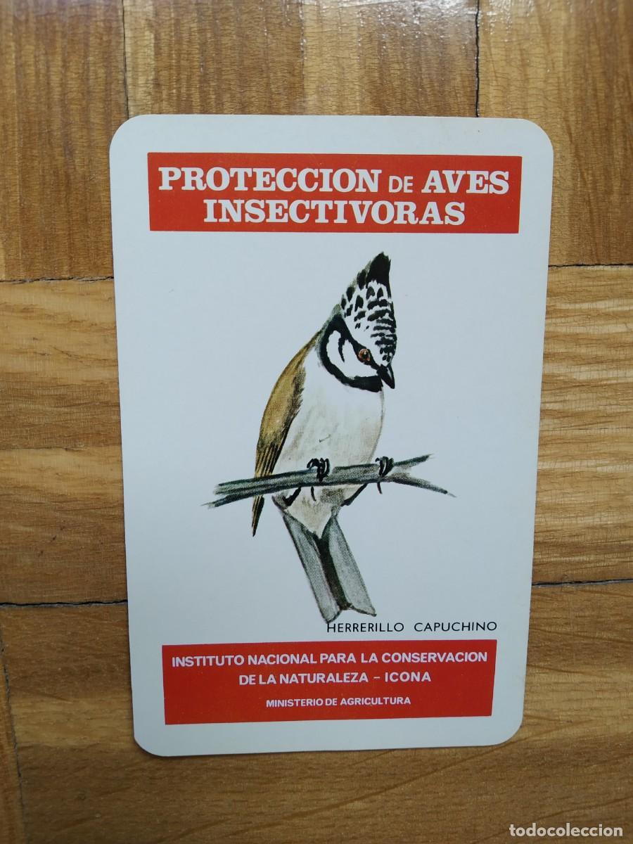Colecionismo Calend&aacute;rios: CALENDARIO FOURNIER ICONA PROTECCION DE AVES INSECTIVORAS HERRERILLO CAPUCHINO A&Ntilde;O 1976 COMO NUEVO