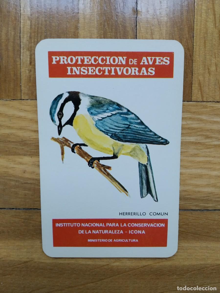 Sammeln von Kalendern: CALENDARIO FOURNIER ICONA PROTECCION DE AVES INSECTIVORAS HERRERILLO COMUN A&Ntilde;O 1976 VER FOTOS