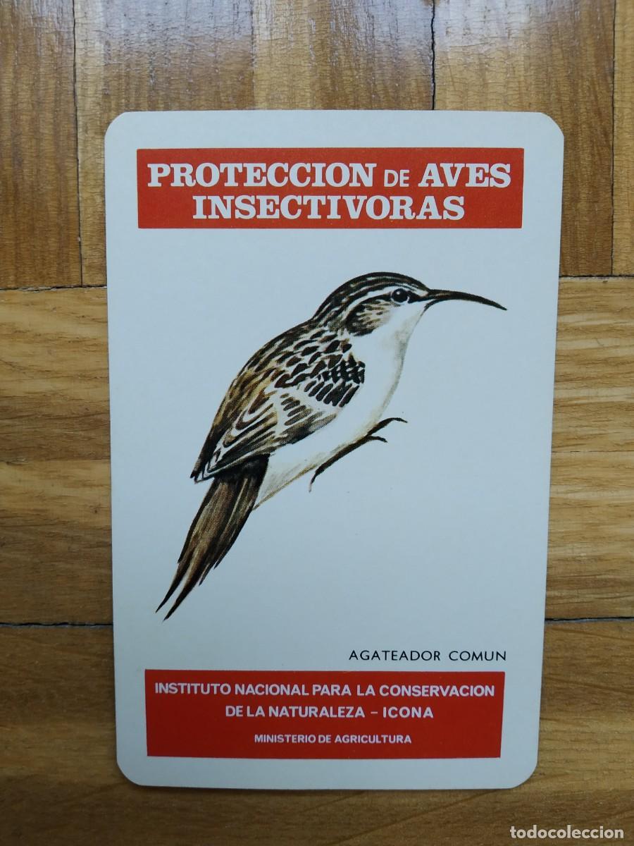 Collectionnisme Calendriers: CALENDARIO FOURNIER ICONA PROTECCION AVES INSECTIVORAS AGATEADOR COMUN A&Ntilde;O 1976 VER FOTOS NUEVO