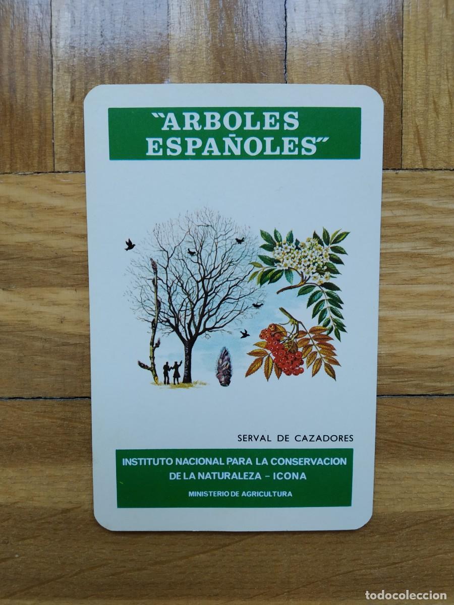 Colecionismo Calend&aacute;rios: CALENDARIO FOURNIER ICONA ARBOLES ESPA&Ntilde;OLES SERVAL DE CAZADORES A&Ntilde;O 1976 VER FOTOS NUEVO