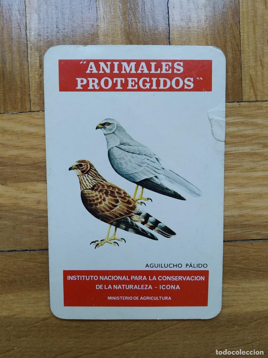 Coleccionismo calendarios: CALENDARIO FOURNIER ICONA ANIMALES PROTEGIDOS AGUILUCHO PALIDO A&Ntilde;O 1975 VER FOTOS