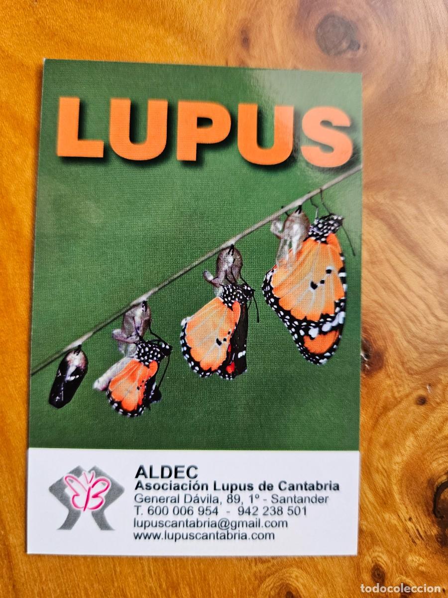 Coleccionismo calendarios: CALENDARIO ASOC. LUPUS CANTABRIA 2022 - ALDEC