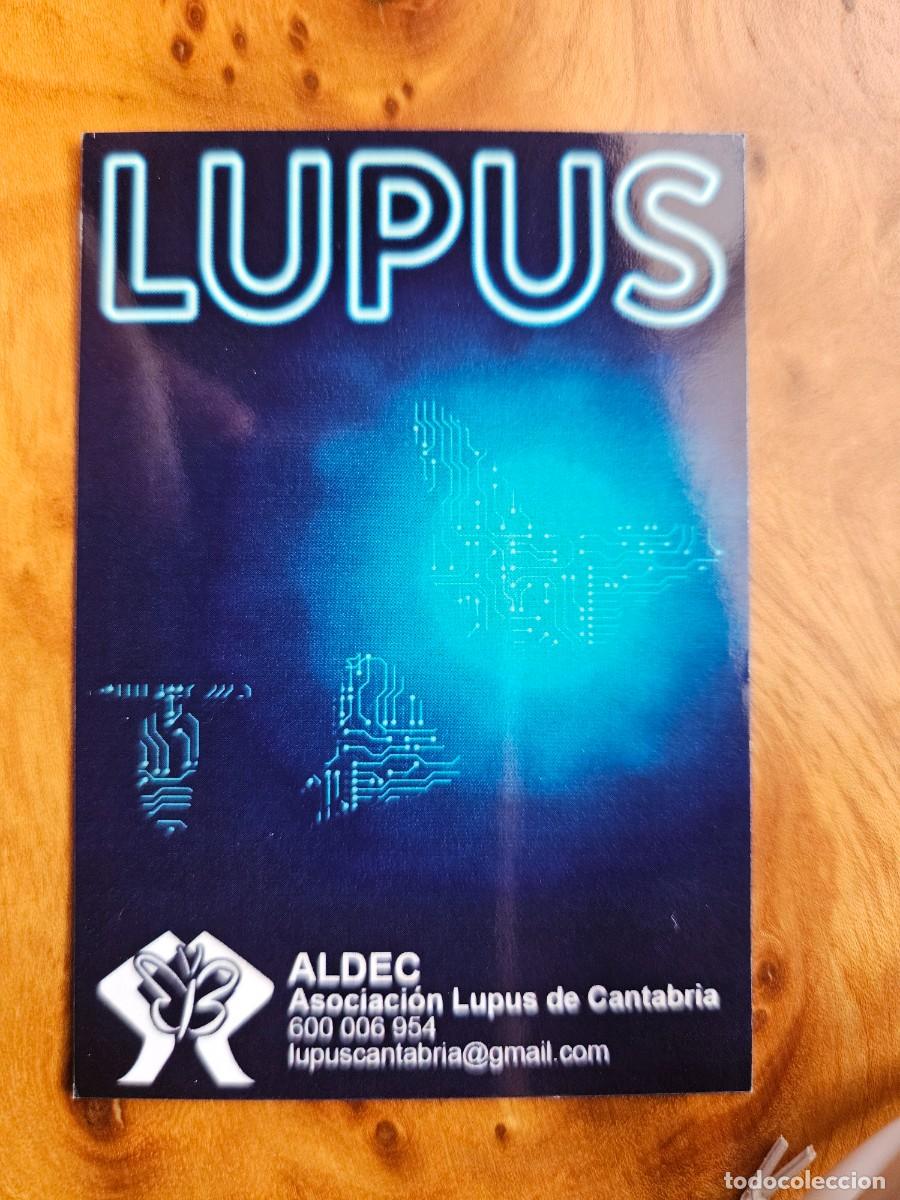 Collectables Calendars: CALENDARIO ASOC. LUPUS CANTABRIA 2023 - ALDEC