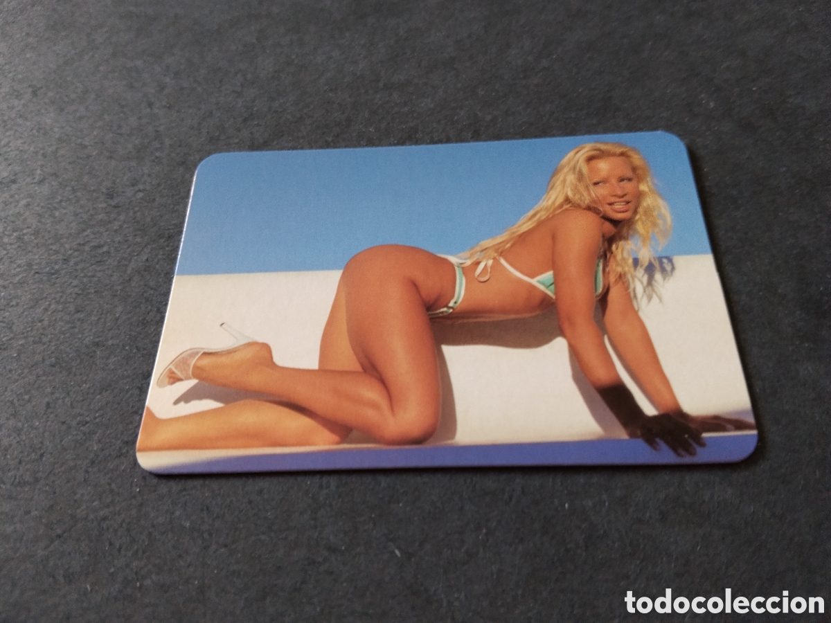 Coleccionismo calendarios: Calendario chicas 2004