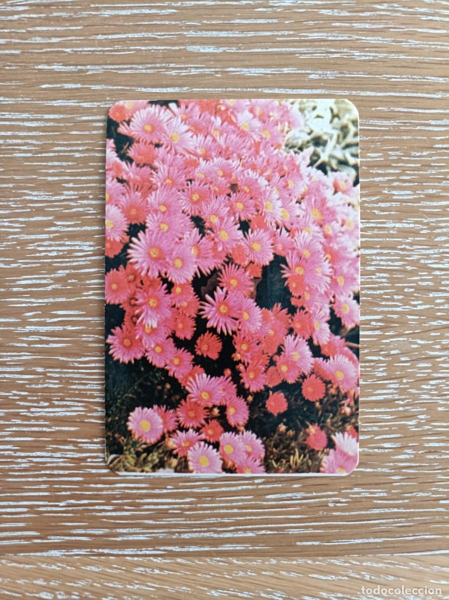 Sammeln von Kalendern: CALENDARIO BOLSILLO - A&Ntilde;O 1972 - COMPA&Ntilde;&Iacute;A INTERNACIONAL DE SEGUROS - FLOR