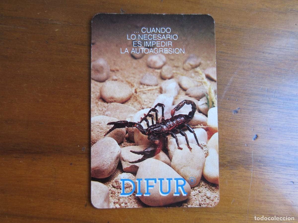 Collectables Calendars: CALENDARIO FOURNIER-DIFUR-DEL 1991 VER FOTOS