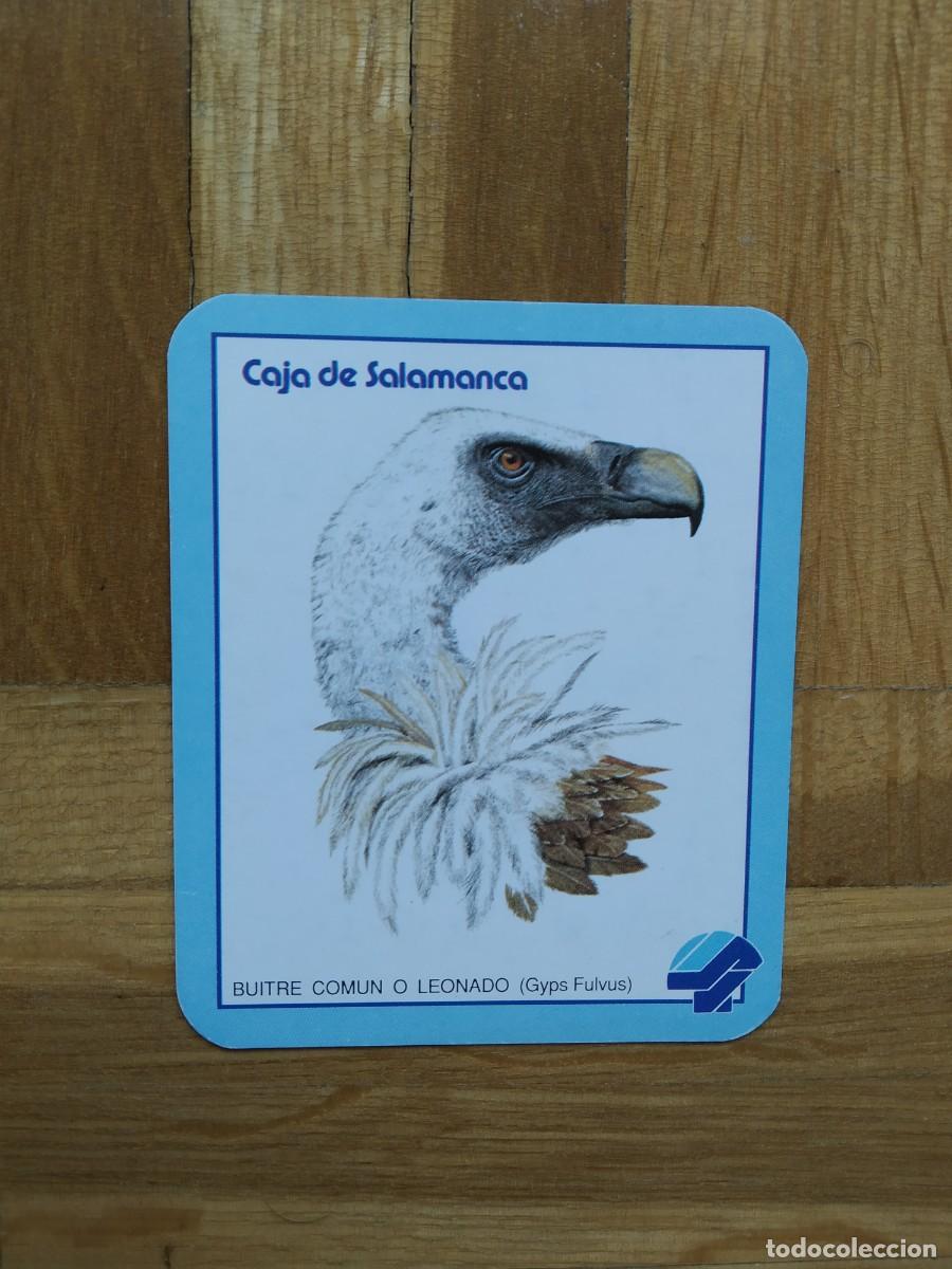 Collezionismo Calendari: CALENDARIO NO FOURNIER CAJA DE SALAMANCA BUITRE COMUN O LEONADO SIMIL ICONA A&Ntilde;O 1988 VER FOTOS