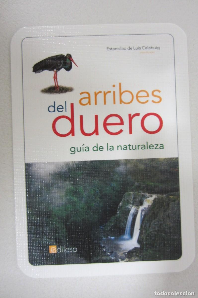 Coleccionismo calendarios: Calendario Edilesa 2009
