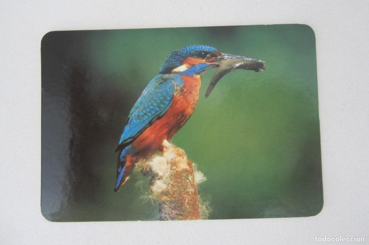 Coleccionismo calendarios: Calendario serie p&aacute;jaros 2003 - Foto 1