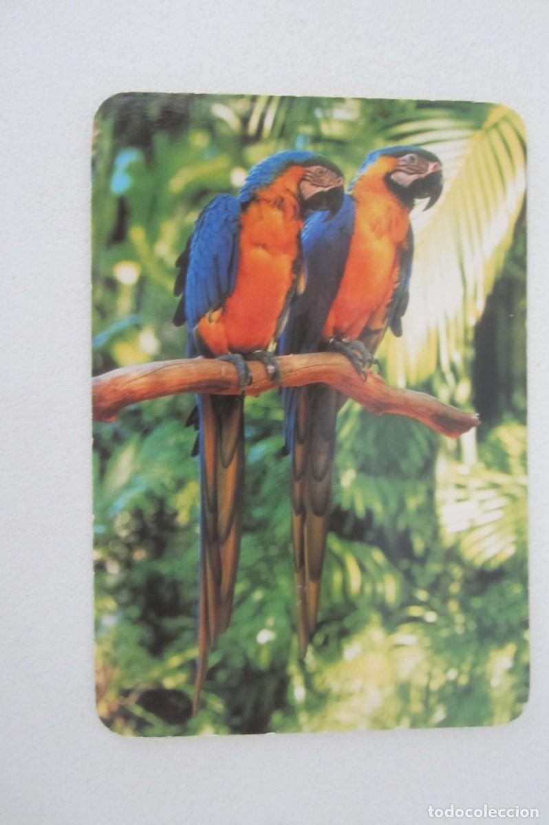 Coleccionismo calendarios: Calendario serie p&aacute;jaros 2005