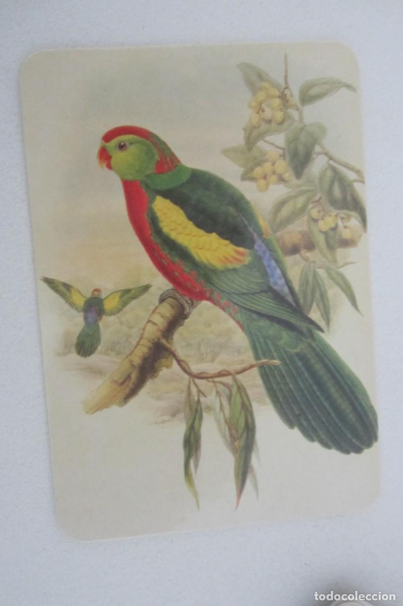 Coleccionismo calendarios: Calendario serie p&aacute;jaros 2006
