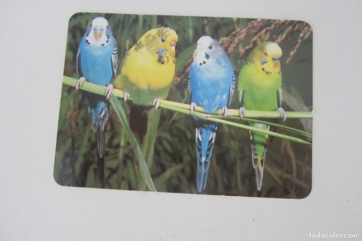 Coleccionismo calendarios: Calendario serie p&aacute;jaros 2006