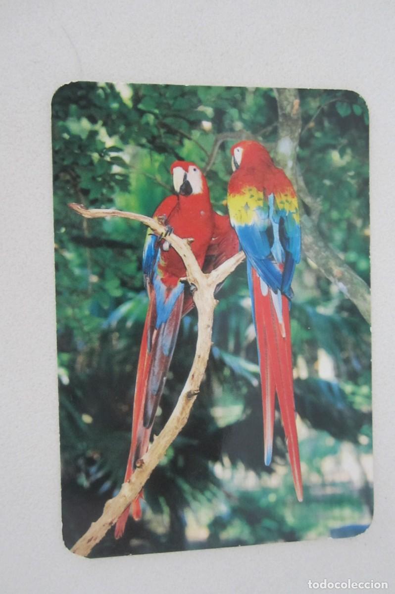 Coleccionismo calendarios: Calendario serie p&aacute;jaros 2008