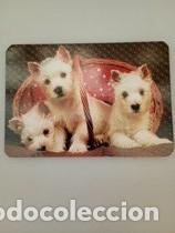 Coleccionismo calendarios: Calendario 1998 Serie Gray Perros