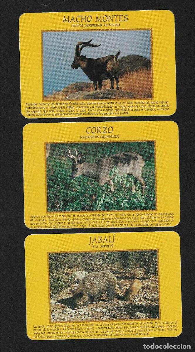 Coleccionismo calendarios: 3 CALENDARIOS DE BOLSILLO A&Ntilde;O 1995 BANCOS / CAJAS - CAJA DE EXTREMADURA - FAUNA - VER FOTO REVERSOS