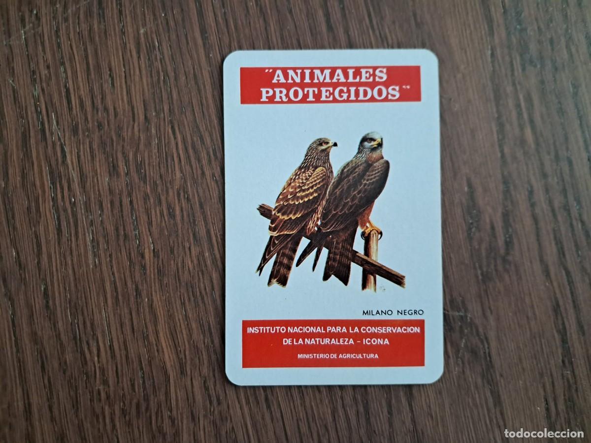 Coleccionismo calendarios: calendario H. Fournier, Icona, animales protegidos, Milano negro, a&ntilde;o 1975.