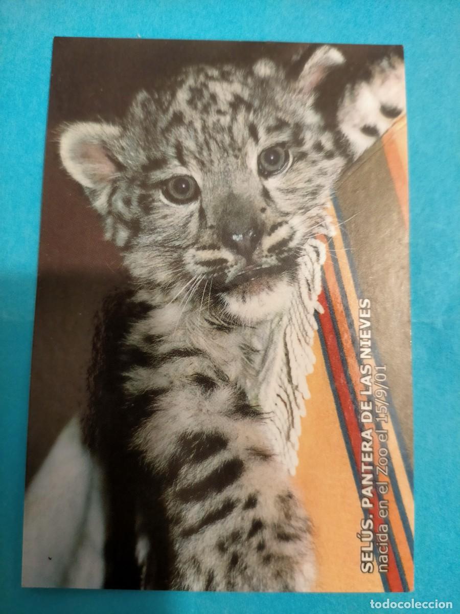 Coleccionismo calendarios: Calendario Zoo de Santillana