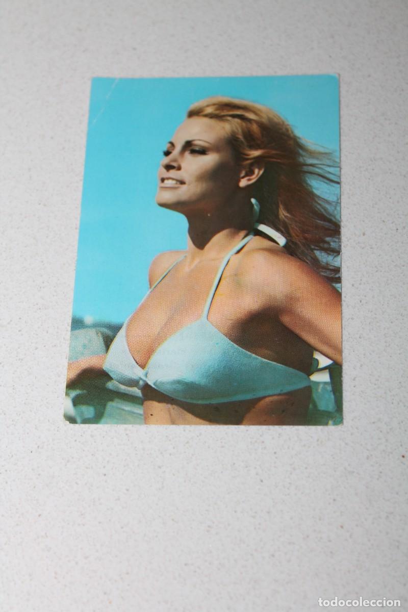 Coleccionismo calendarios: CALENDARIO DE BOLSILLO. CHICA. ACTRIZ. A&Ntilde;O 1969. Cafeter&iacute;a Club NICHOL'S. Punta Umbr&iacute;a - Huelva.