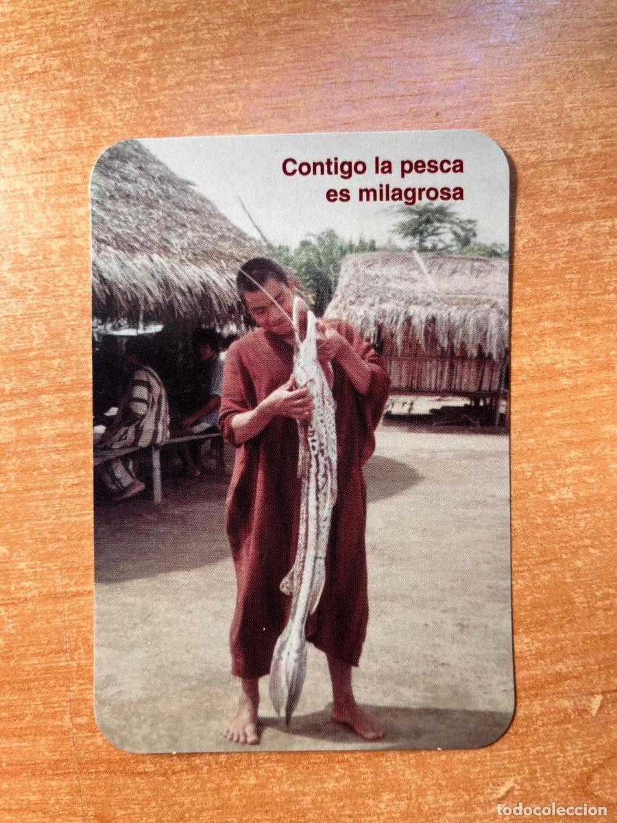 Coleccionismo calendarios: CALENDARIO MISIONES SELVAS AMAZONICAS 2008