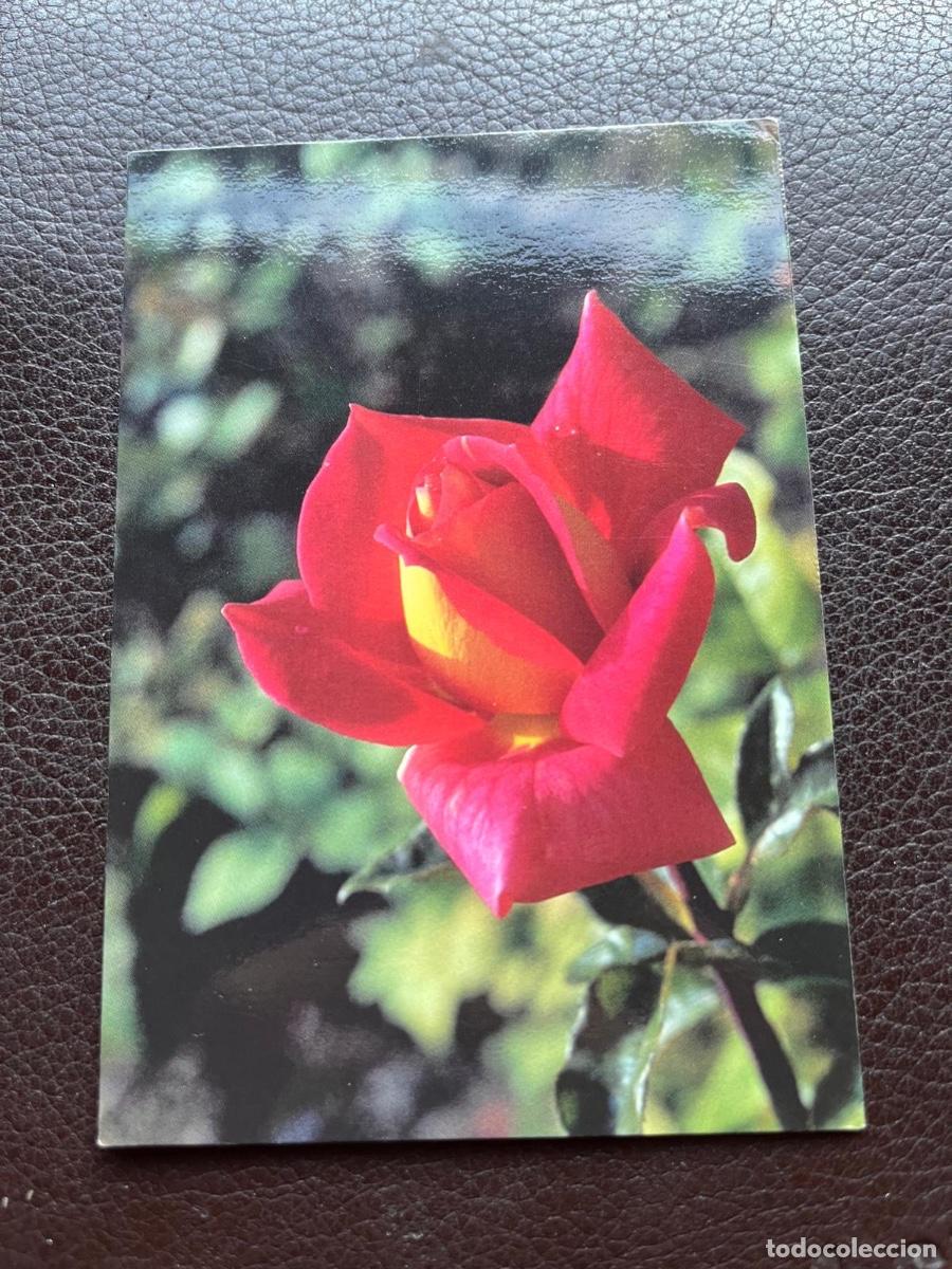 Coleccionismo calendarios: CALENDARIO LIBRERIA CLARET 1998 - Foto 1