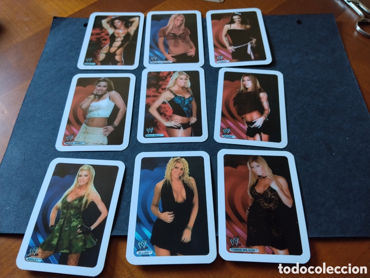Coleccionismo calendarios: Calendario chicas luchadoras W 2011