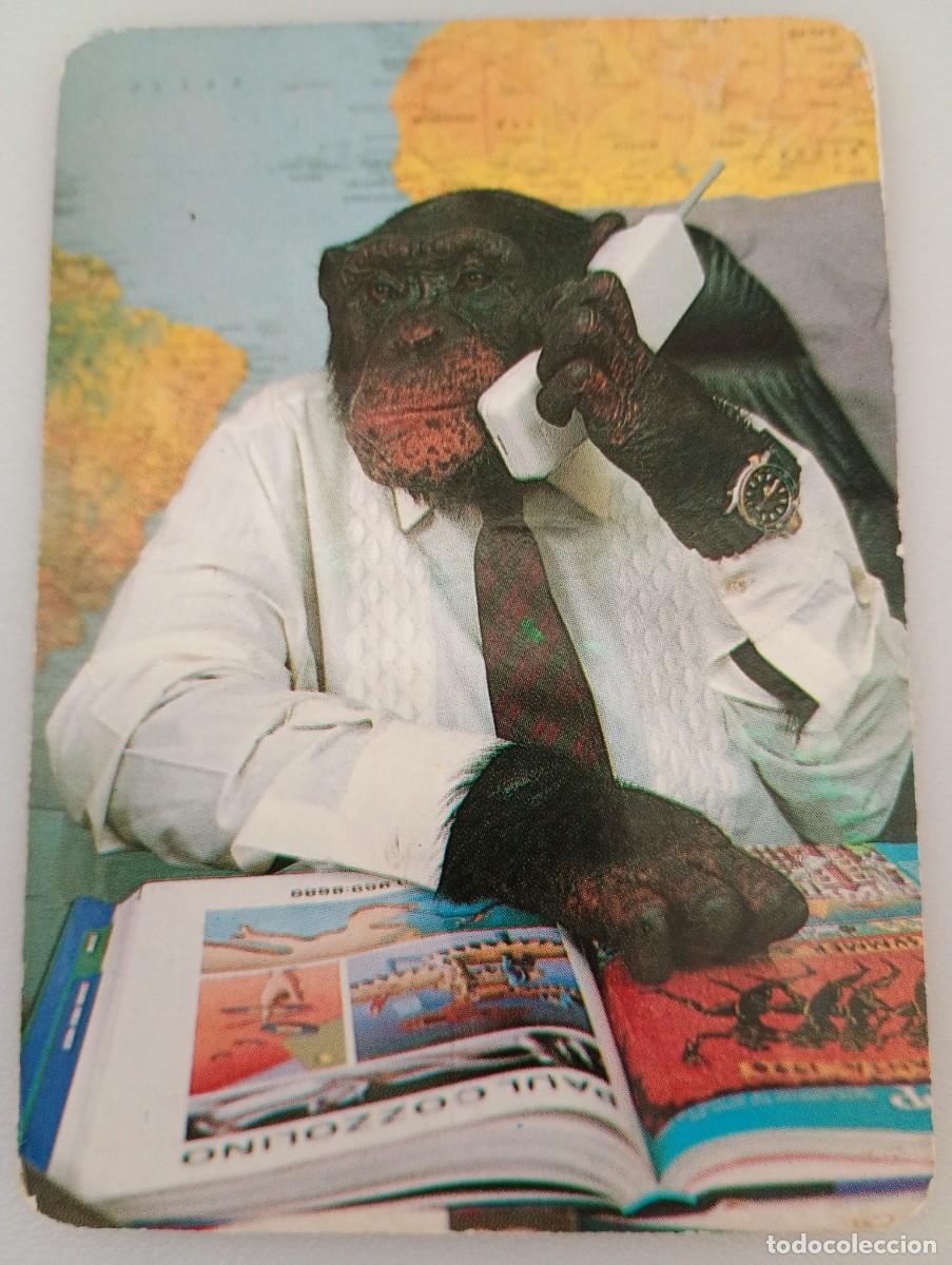 Coleccionismo calendarios: Calendario 1997 Serie BO 599 Humor Animales