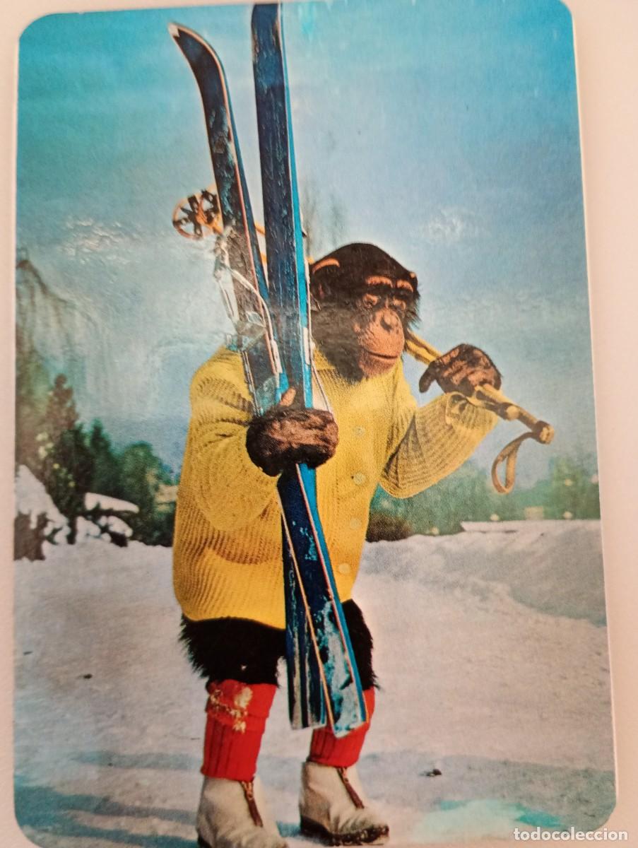 Coleccionismo calendarios: Calendario 1998 Serie GD 15 Humor Animales