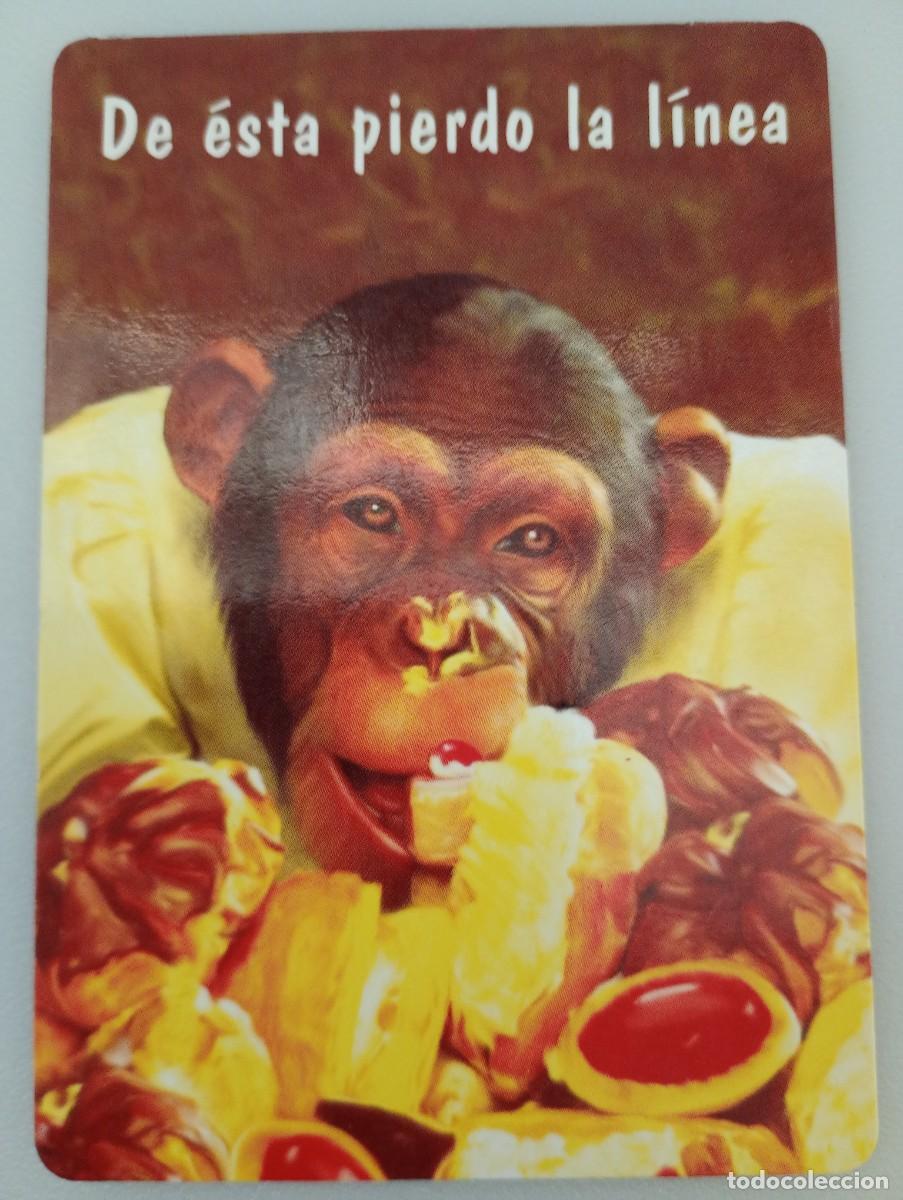 Coleccionismo calendarios: Calendario 1996 Serie WCB 73 Humor Animales