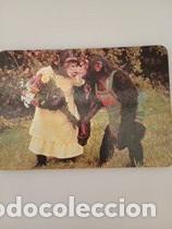 Coleccionismo calendarios: Calendario 1995 Serie MC 7 Humor Animales