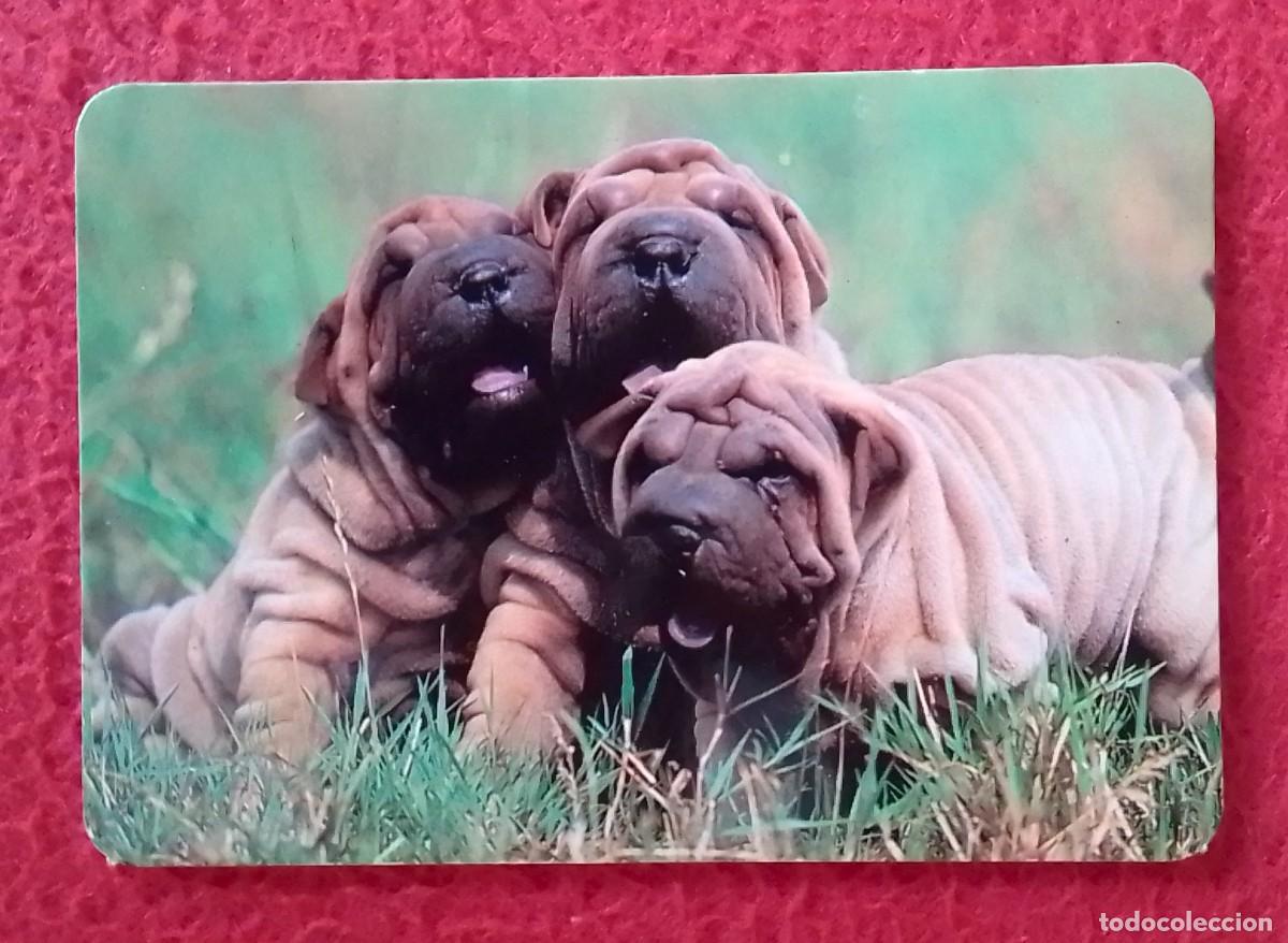 Collezionismo Calendari: CALENDARIO DE BOLSILLO 1995 AUTOSERVICIO MISTER GUAU..PERROS DOGS CHIENS VER FOTOS HUNDE CANI..CANES