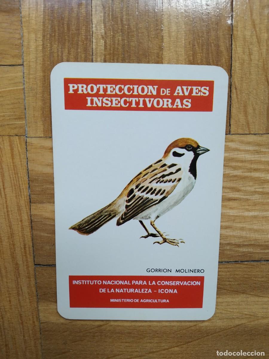 Sammeln von Kalendern: CALENDARIO FOURNIER ICONA PROTECCION DE AVES INSECTIVORAS GORRION MOLINERO A&Ntilde;O 1976 COMO NUEVO