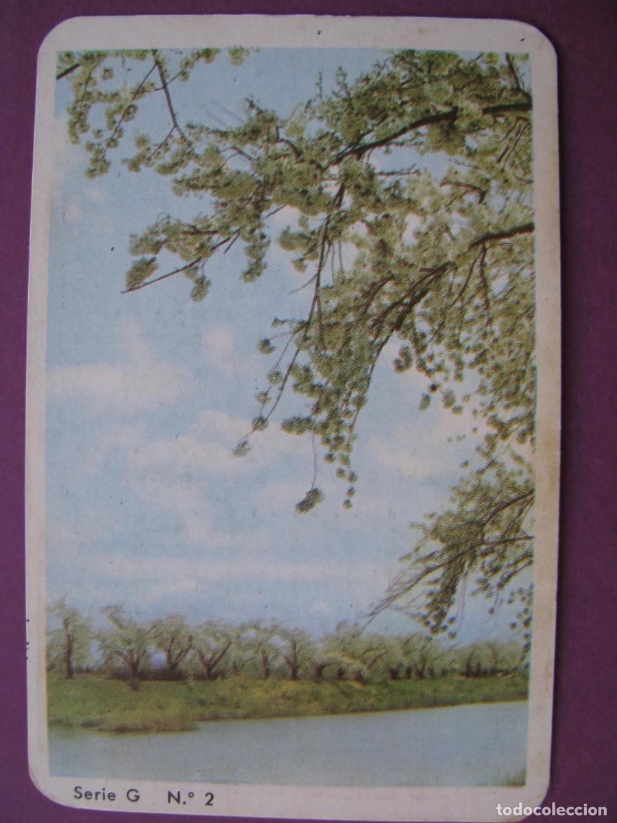 Coleccionismo calendarios: CALENDARIO DE BOLSILLO 1970. FELIX CABALLERO CIA. MALAGA.