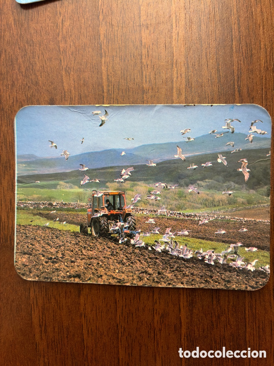 Coleccionismo calendarios: Calendario de bolsillo 1988 - Remolques Macias (Gomecello, Salamanca) - Maquinaria Agr&iacute;cola