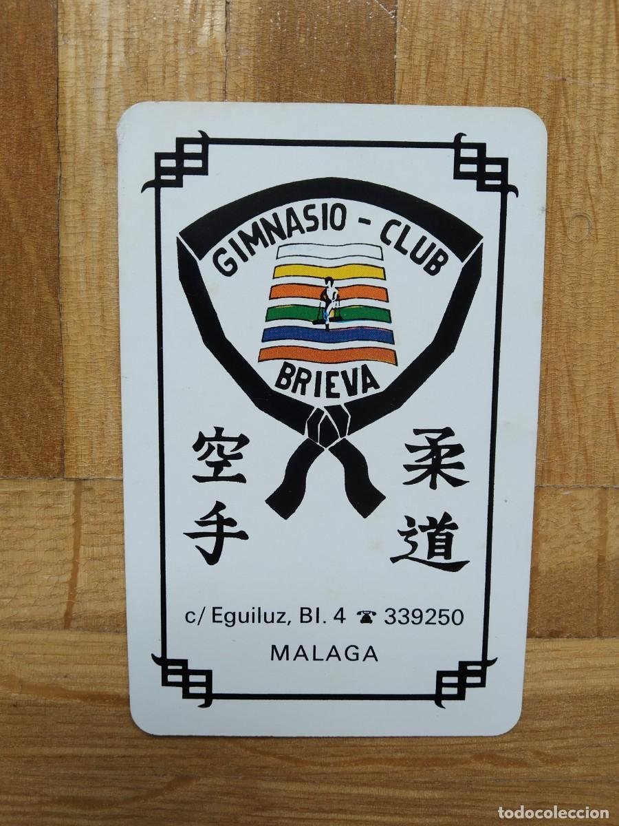Collectables Calendars: CALENDARIO FOURNIER GIMNASIO CLUB BRIEVA. M&Aacute;LAGA A&Ntilde;O 1981 VER FOTOS
