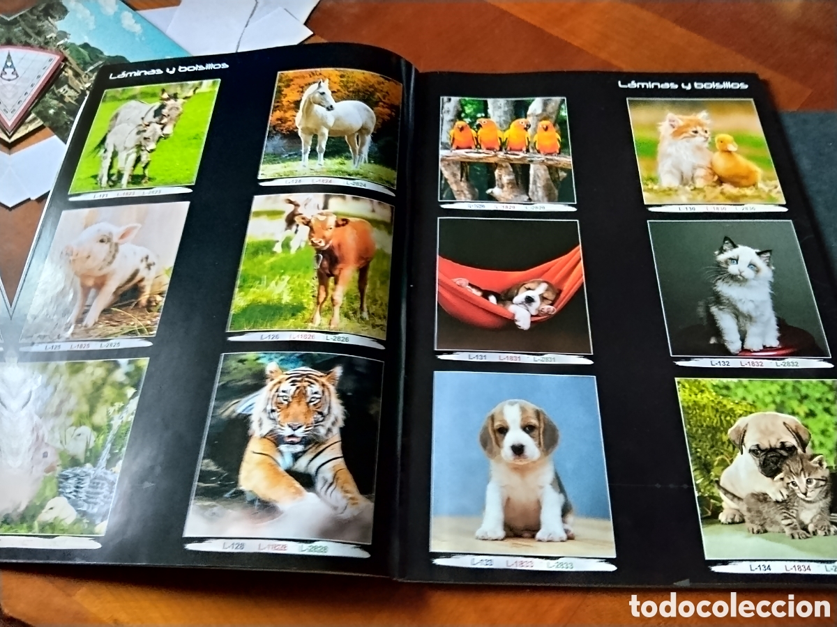 Coleccionismo calendarios: Libro cat&aacute;logo de calendarios 2018 L - Foto 4