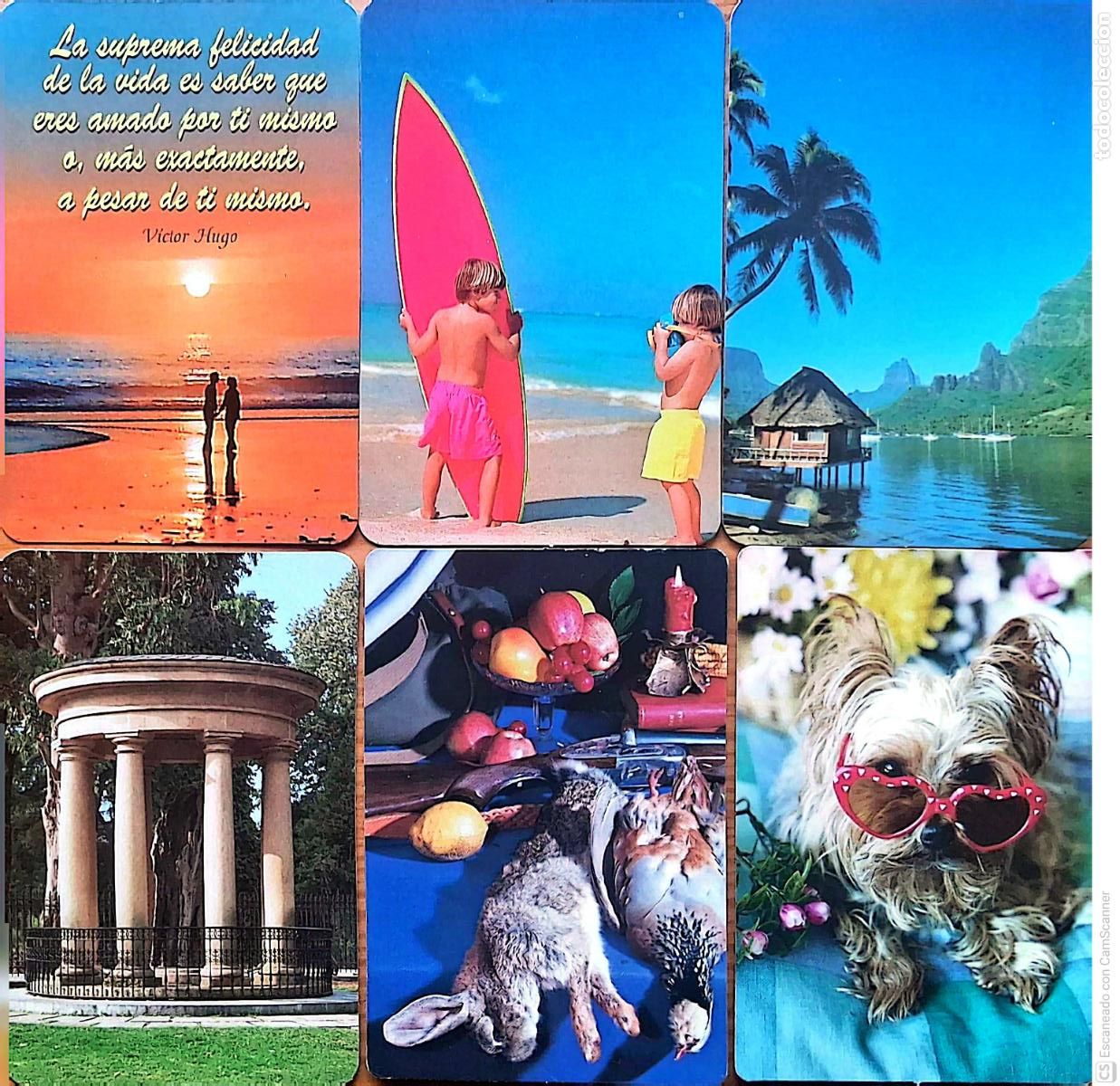 Coleccionismo calendarios: Calendarios: 6 Temas varios. A&ntilde;os: 1998-1999-2003 Ver fotos
