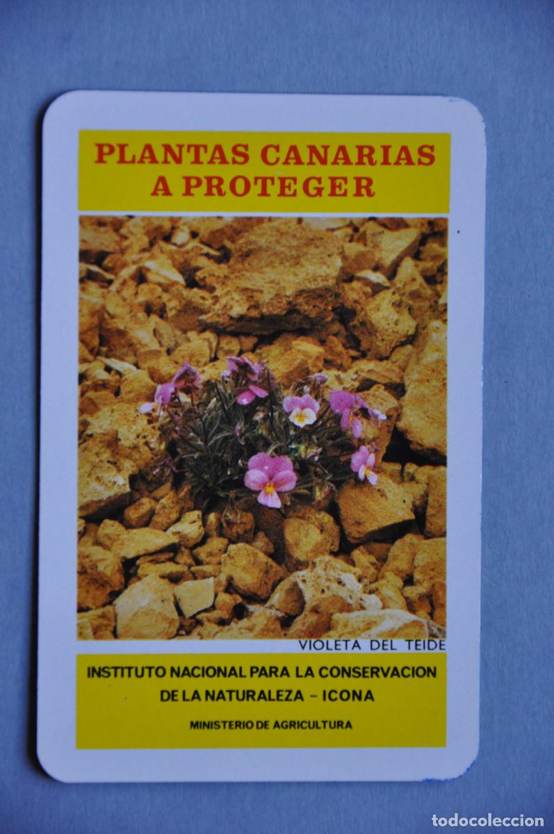 Coleccionismo calendarios: CALENDARIO FOURNIER 1974 - INSTITUTO NACIONAL PARA LA CONSERVACION DE LA NATURALEZA - ICONA
