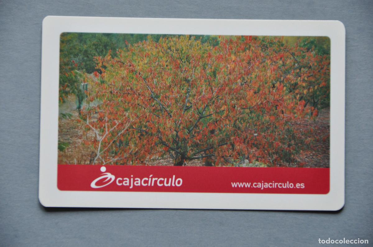 Coleccionismo calendarios: CALENDARIO 2007 - CAJA CIRCULO - Foto 1